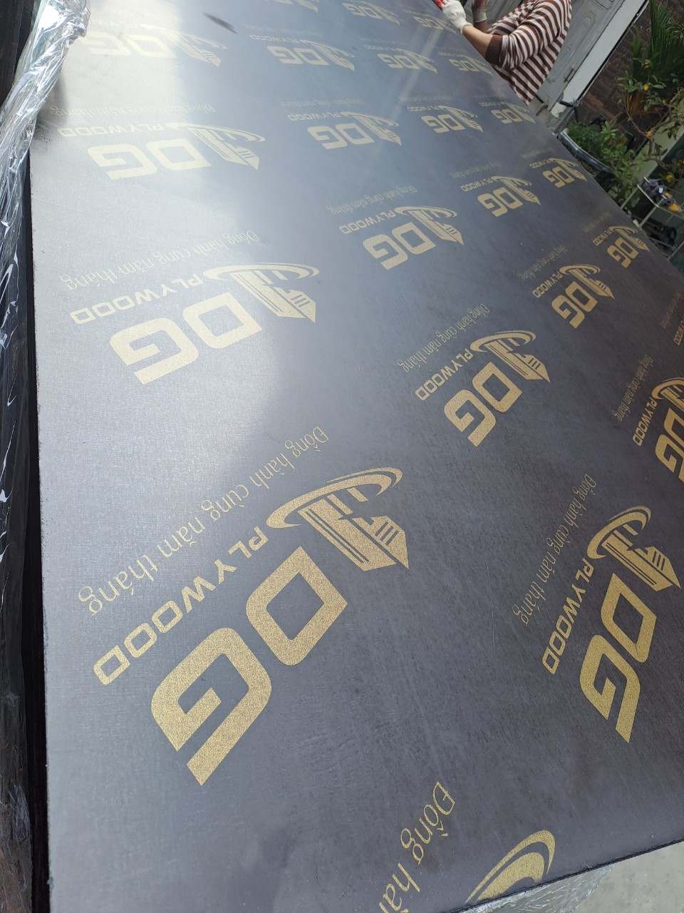 Ván Ép Phủ Phim giá rẻ 240k tại Hòa Bình